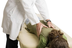 What an Estero, FL chiropractor can do for you